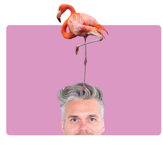 man met flamingo op hoofd